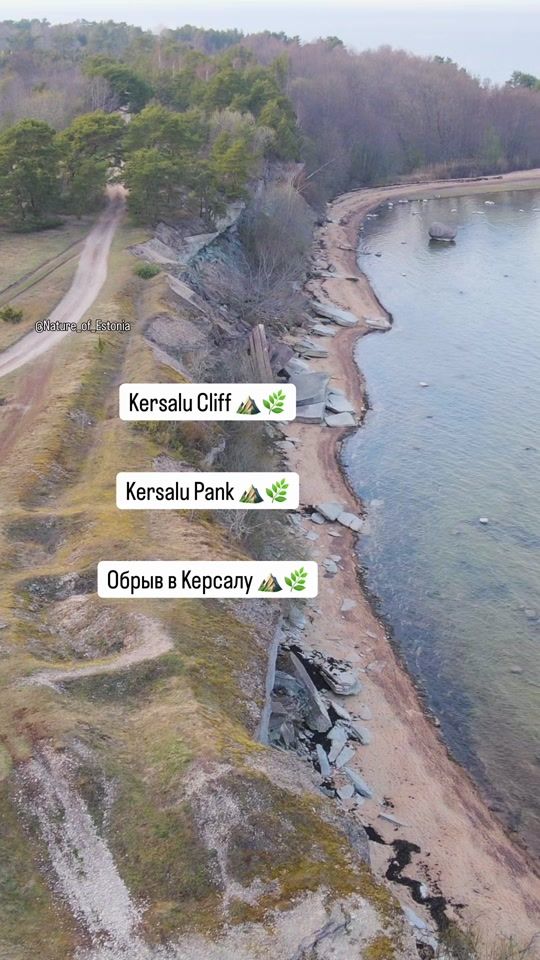 TikTok video thumbnail by nature_of_estonia