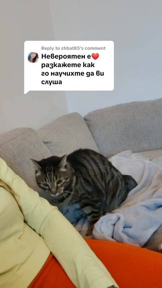 TikTok video thumbnail by tipsy_raya