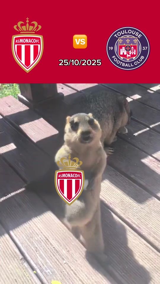 TikTok video thumbnail by asmonaco