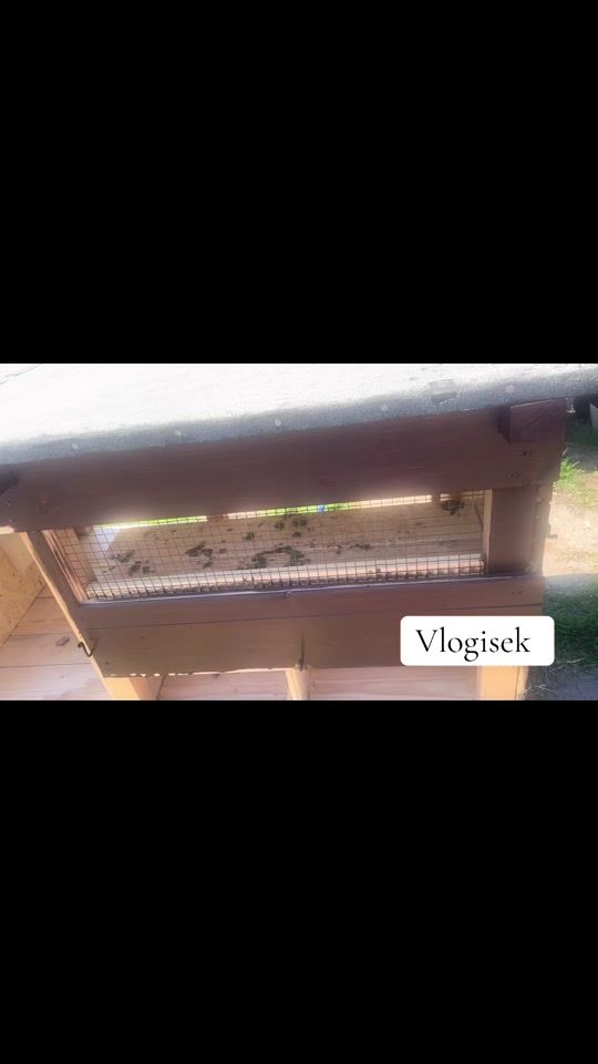 TikTok video thumbnail by _neliseeek