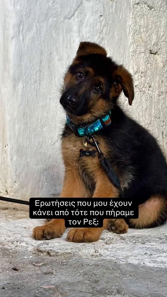 TikTok video thumbnail by _elpida.m