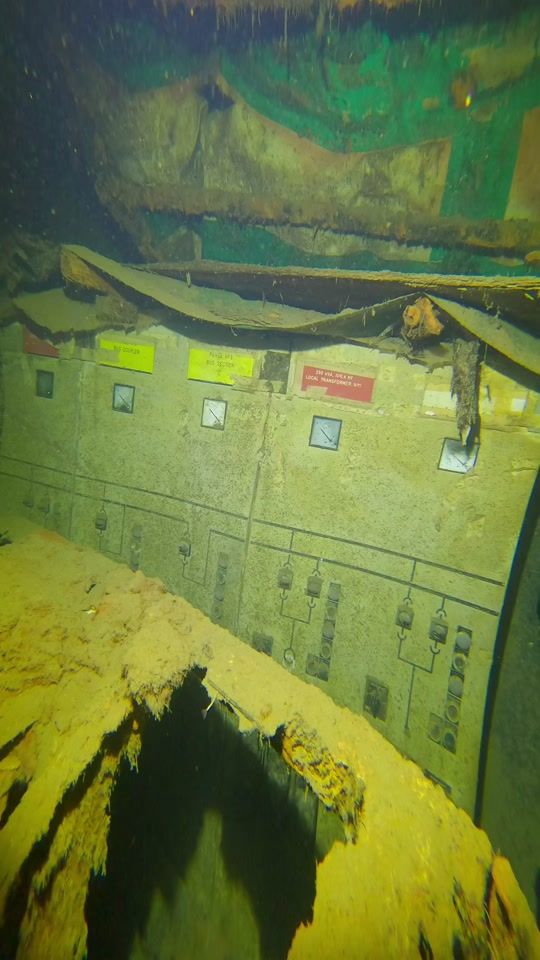TikTok video thumbnail by pineapplediveclub