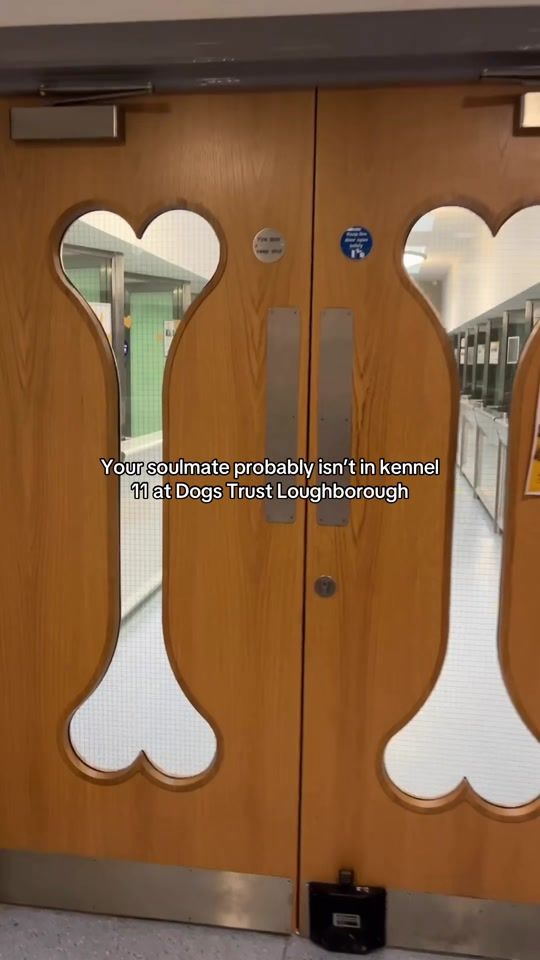 TikTok video thumbnail by dogstrust