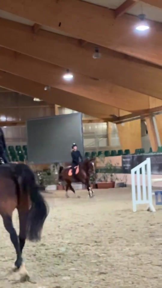 TikTok video thumbnail by showjumping.finni
