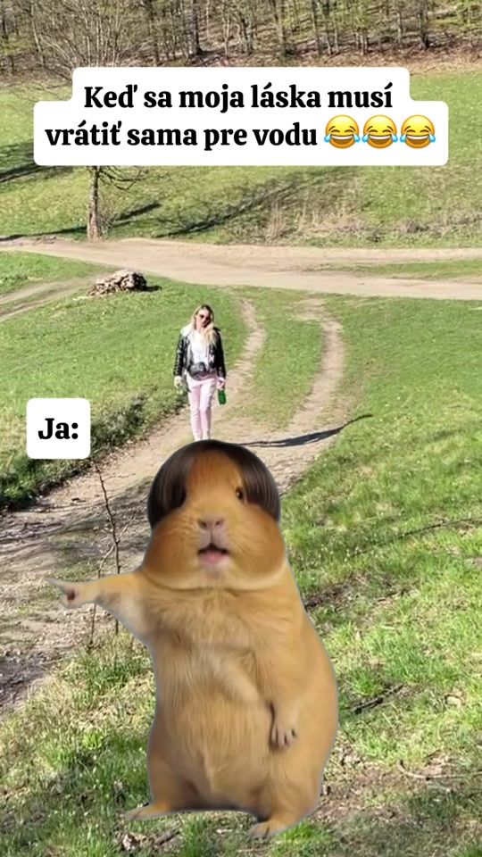 TikTok video thumbnail by .roman.farkas