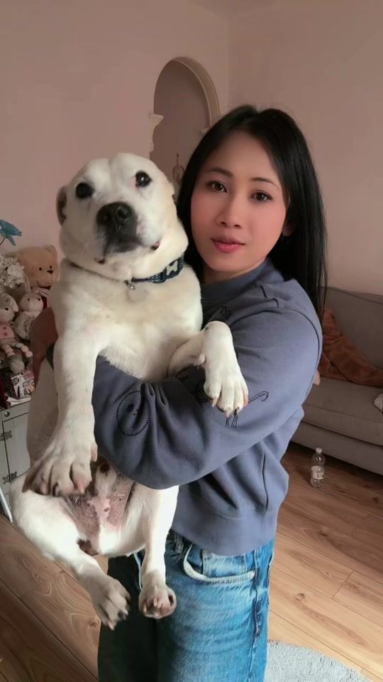 TikTok video thumbnail by star_chickky