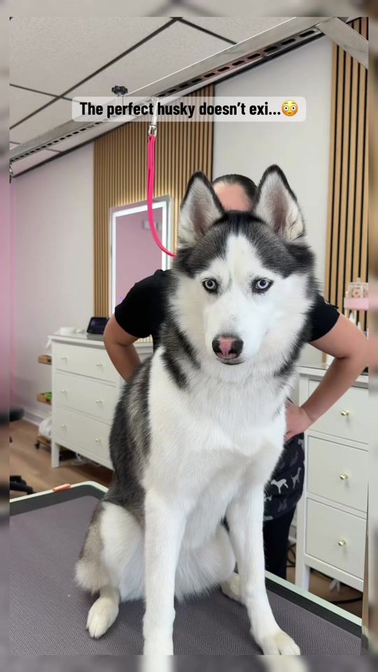 TikTok video thumbnail by louisesoin