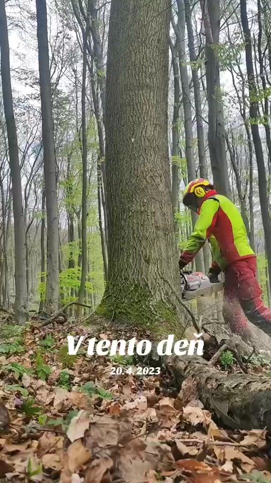 TikTok video thumbnail by peter_4658