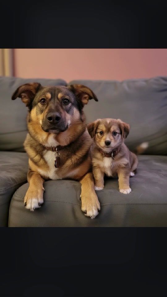 TikTok video thumbnail by mrs.dk01