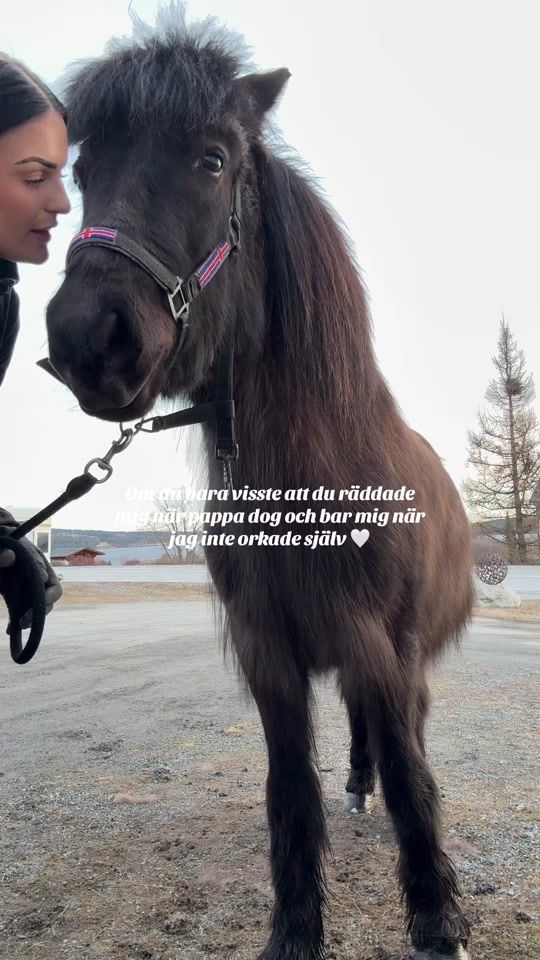 TikTok video thumbnail by atlestrom