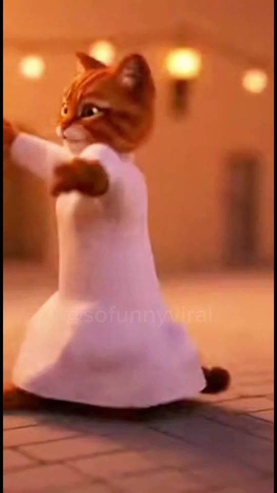 TikTok video thumbnail by sofunnyviral