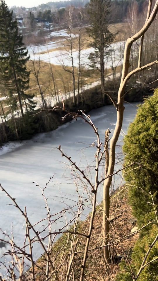 TikTok video thumbnail by egg.master44