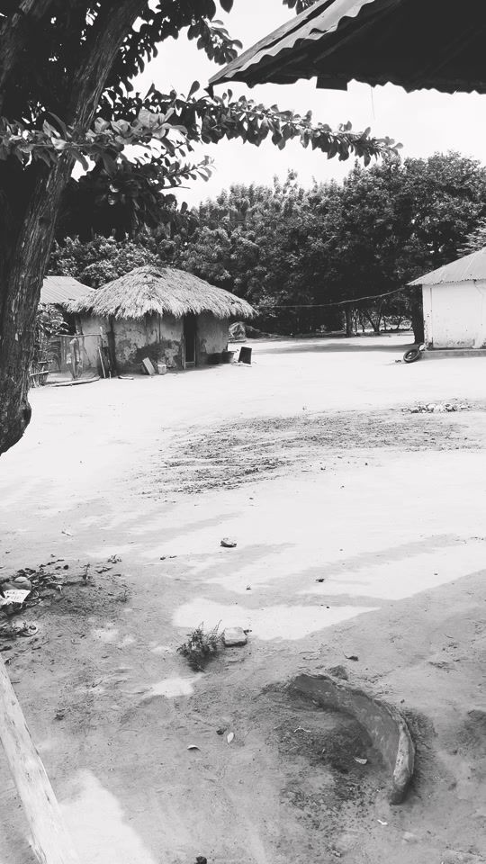 TikTok video thumbnail by dico_dinos