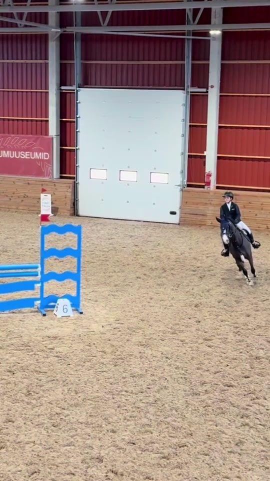 TikTok video thumbnail by lv.showjumping