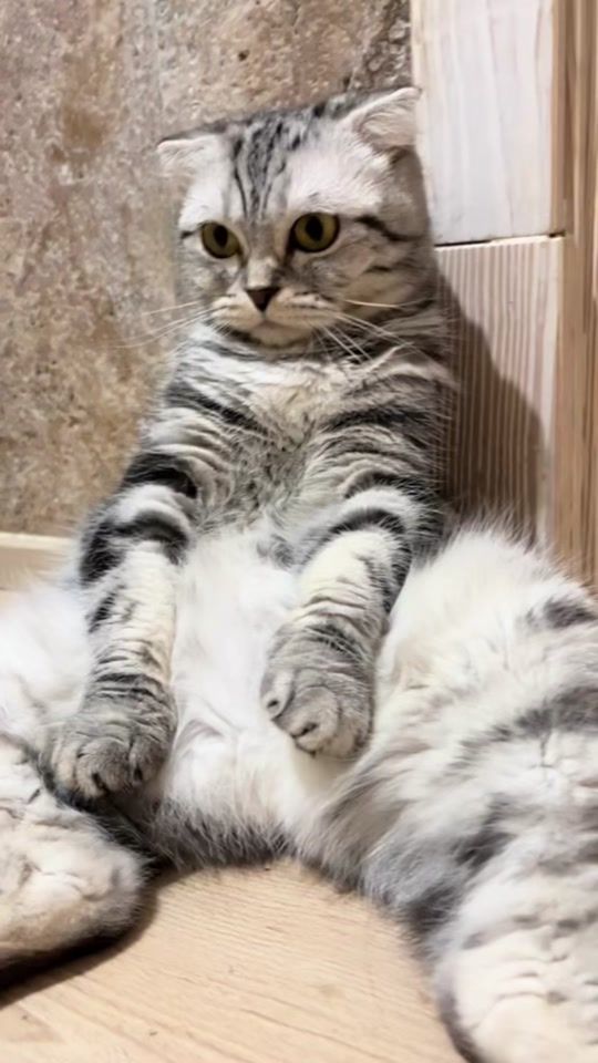 TikTok video thumbnail by masyane4ka_