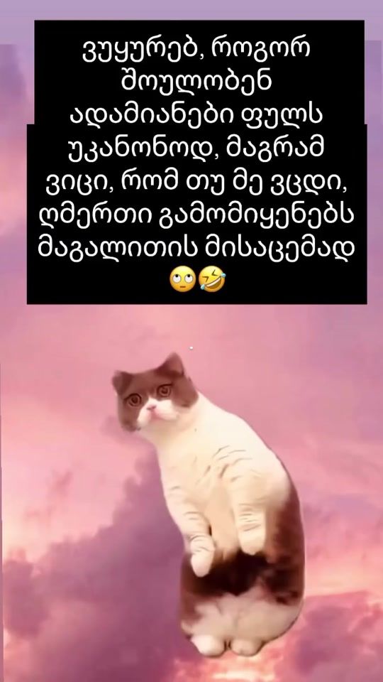 TikTok video thumbnail by di_ma_9.06.2005