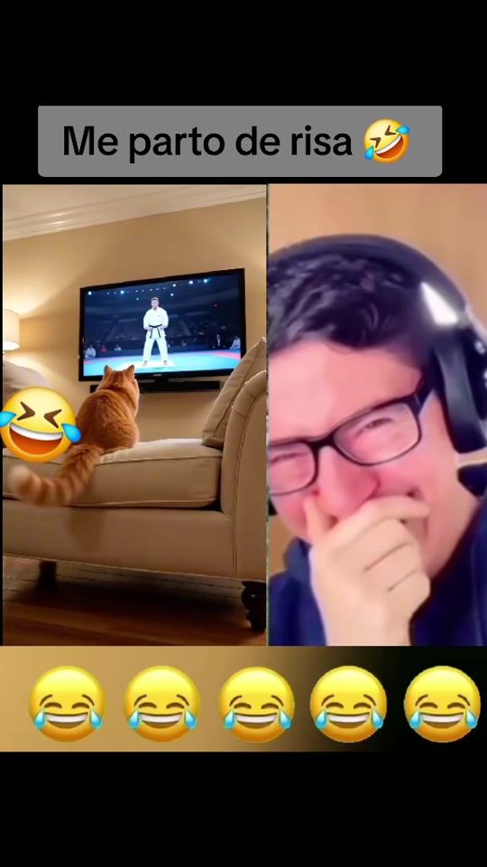 TikTok video thumbnail by noeprik