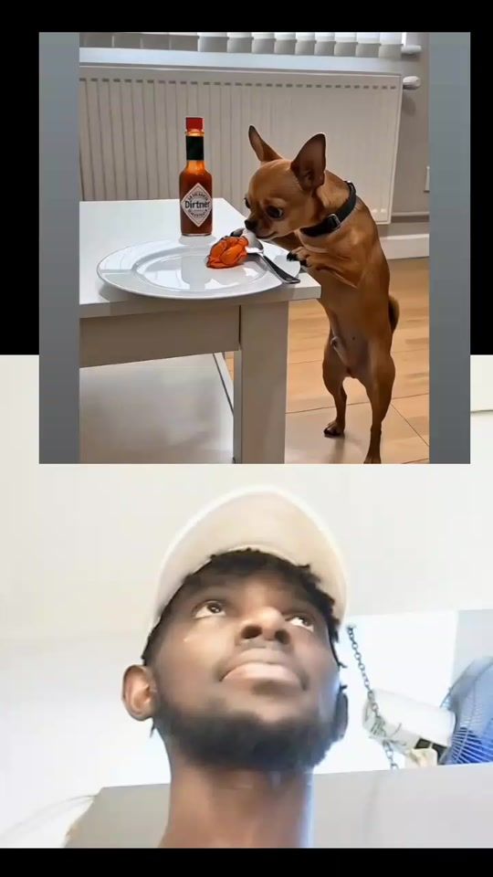 TikTok video thumbnail by cheffada1