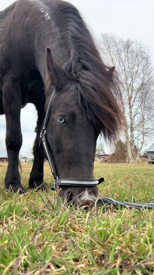 TikTok video thumbnail by sanna_lindgren