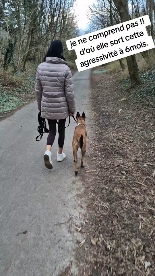 TikTok video thumbnail by cindynbn62