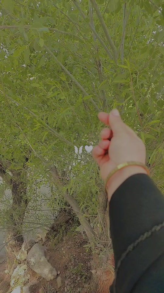 TikTok video thumbnail by user29621124246850