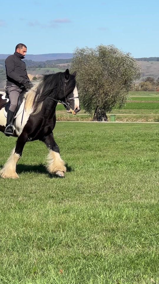 TikTok video thumbnail by cai.brasov