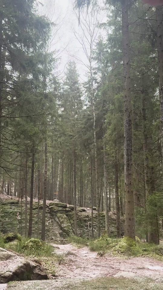 TikTok video thumbnail by linuscarlssondg