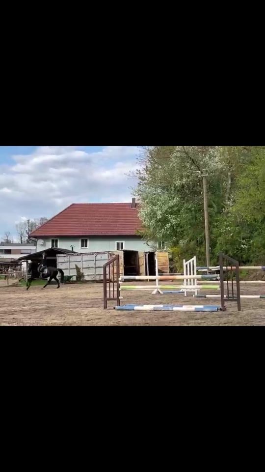 TikTok video thumbnail by elena_sbr_
