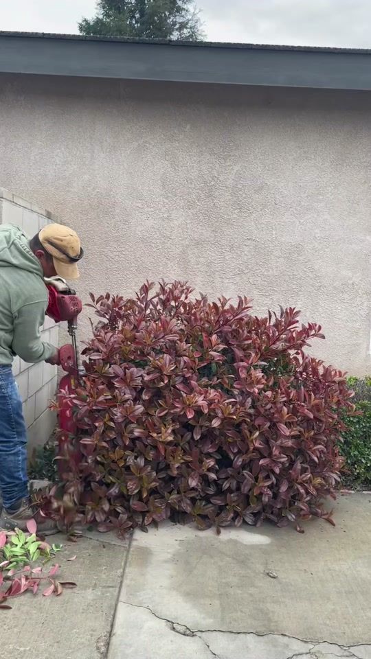 TikTok video thumbnail by jonnygardenner