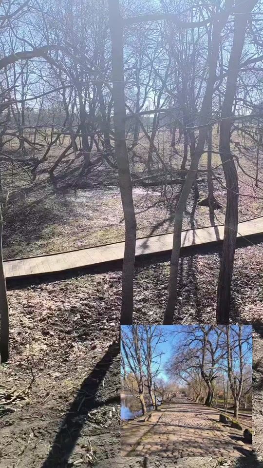 TikTok video thumbnail by toxic.vol.2.0
