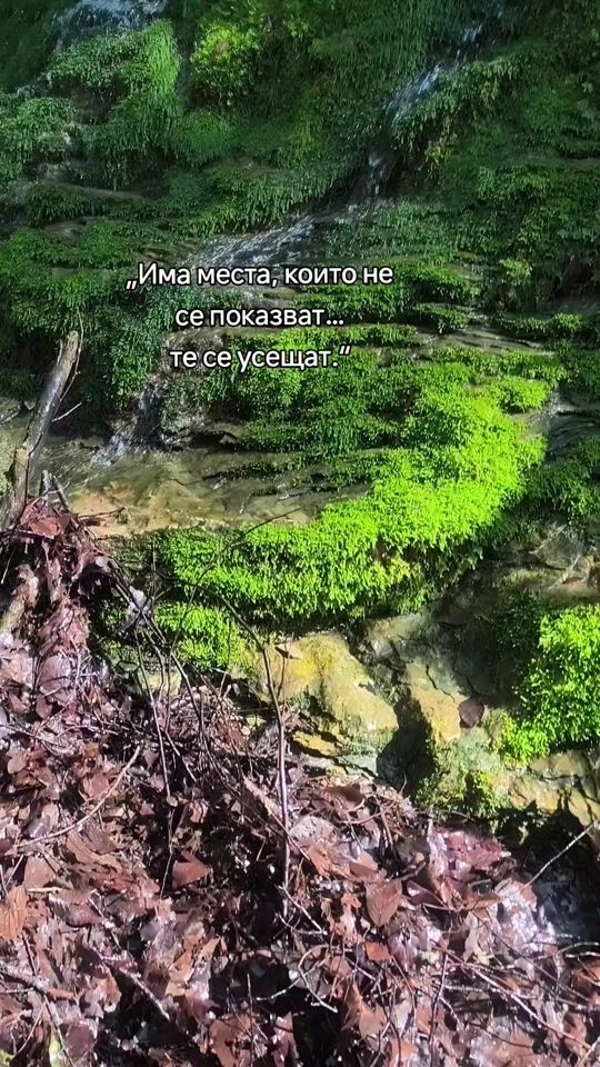 TikTok video thumbnail by desislava_shishmanova