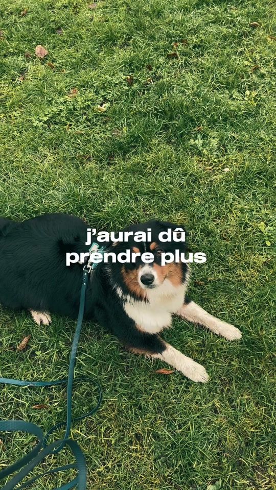 TikTok video thumbnail by mademoiselle_poupy