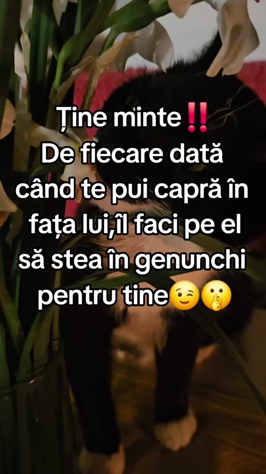 TikTok video thumbnail by monica_tessy