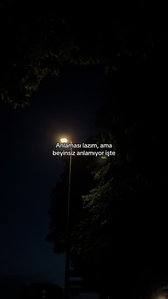 TikTok video thumbnail by bexonverse