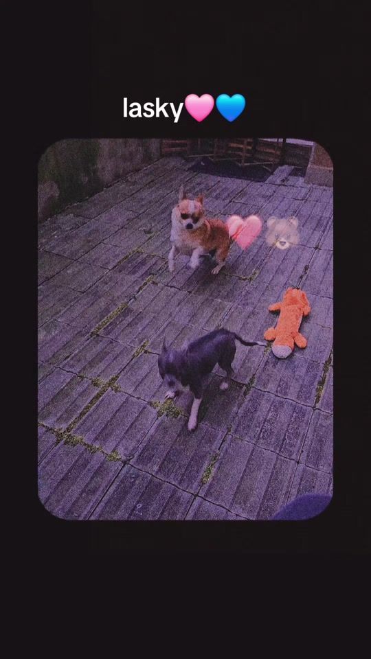 TikTok video thumbnail by ladislavko42