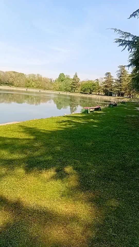 TikTok video thumbnail by bime_bm
