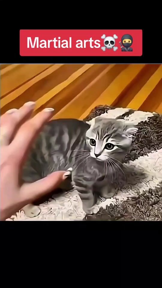 TikTok video thumbnail by hero.video1