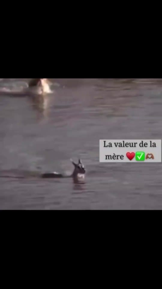 TikTok video thumbnail by voiceeffects85