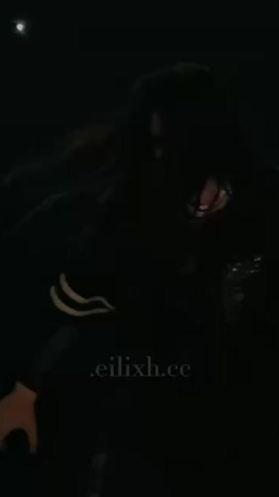 TikTok video thumbnail by .eilixh.cc