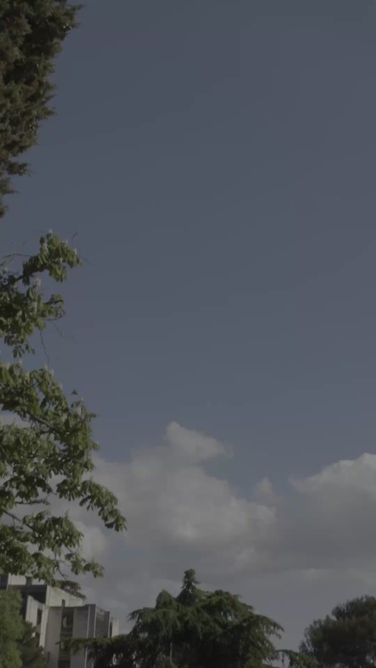 TikTok video thumbnail by gsp.otts