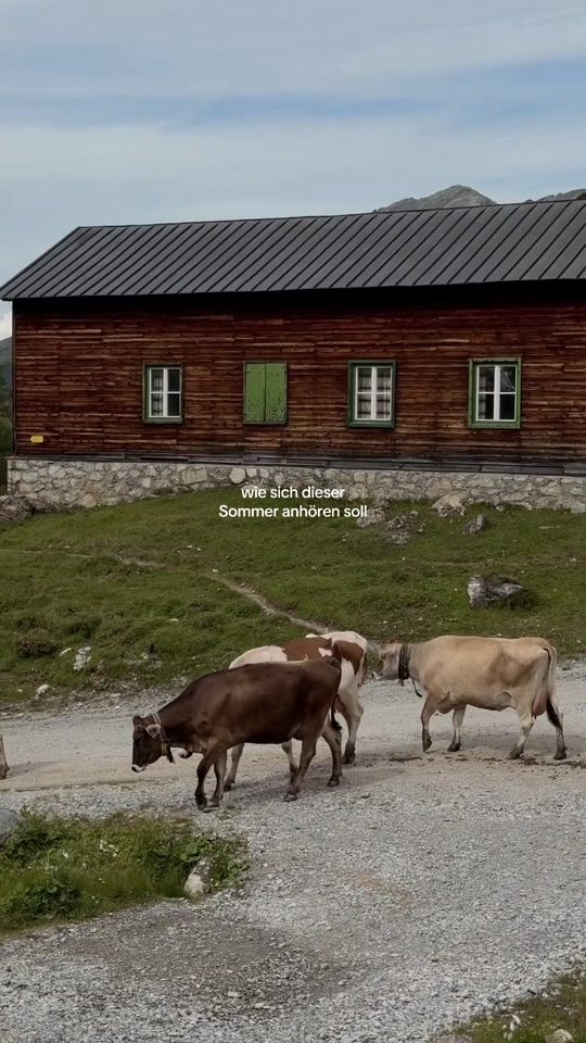 TikTok video thumbnail by ____verena