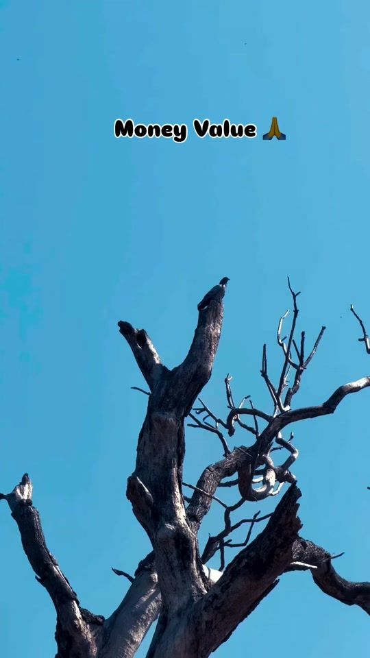 TikTok video thumbnail by sandeep_20222