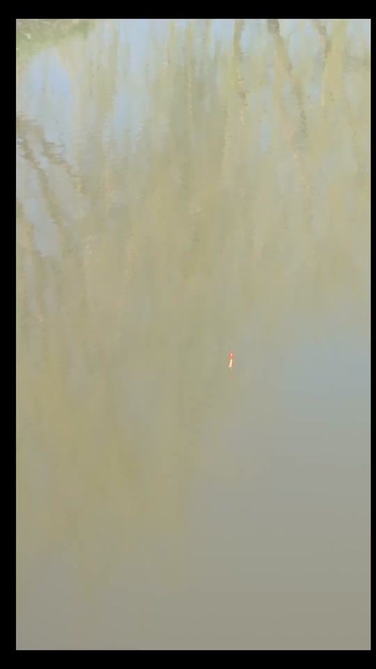 TikTok video thumbnail by andrew..827