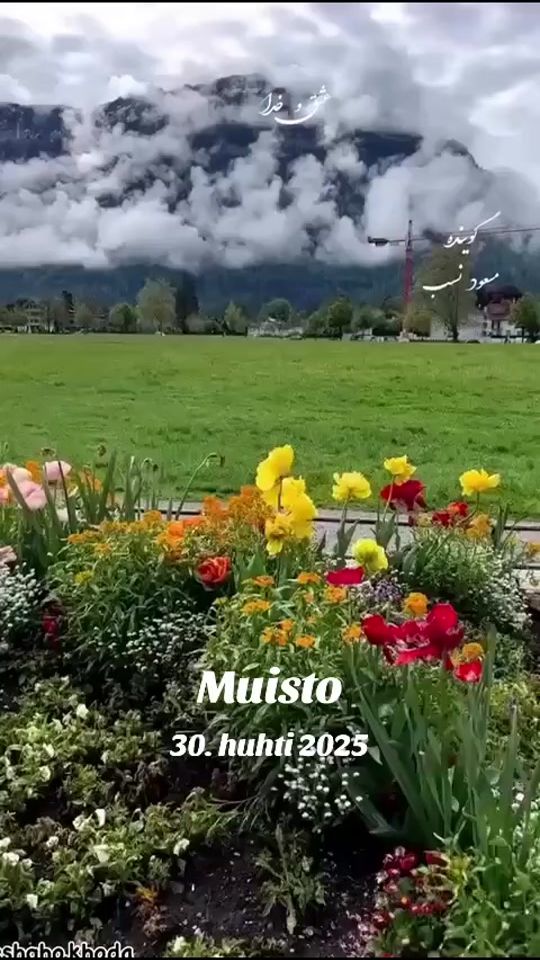 TikTok video thumbnail by naser.adeli