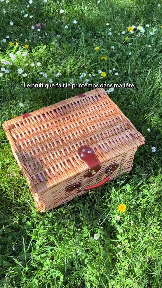 TikTok video thumbnail by lifeof_miraa