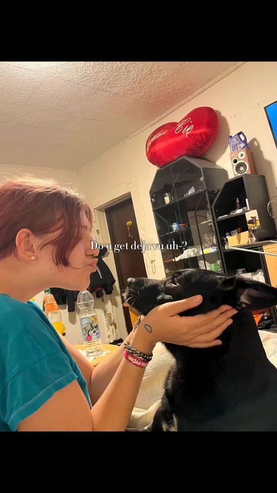 TikTok video thumbnail by xxnatalisaxx0