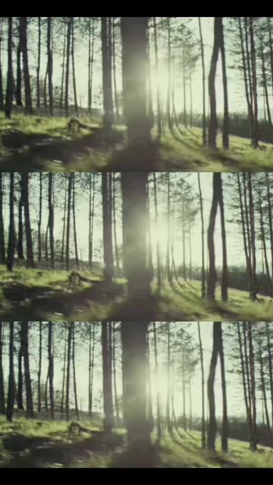 TikTok video thumbnail by moodyboards