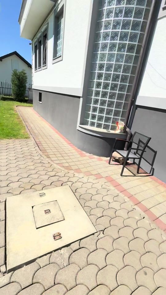 TikTok video thumbnail by binacolada