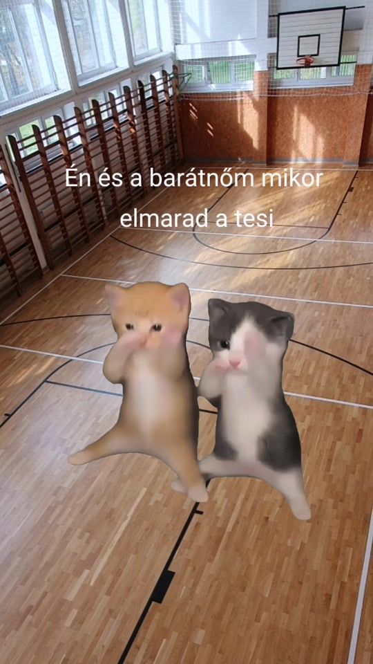 TikTok video thumbnail by rizibizi226
