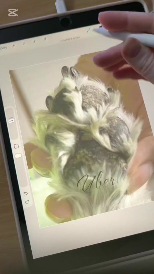 TikTok video thumbnail by 3va.lines